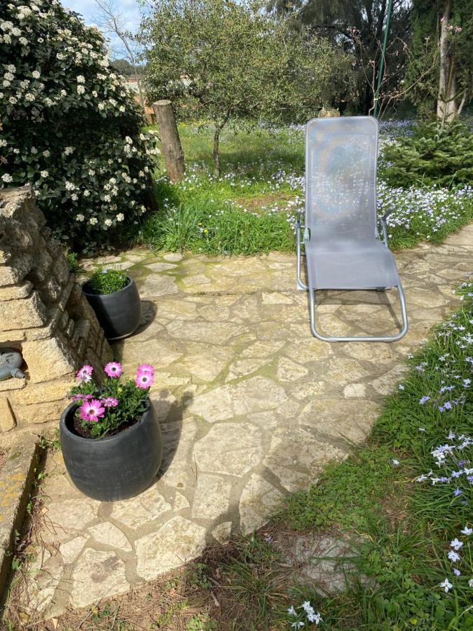 Studio Havre De Paix Au Pont Du Gard Piscine Et Jacuzzi Chez Valerie Payre Vers Pont du Gard Zewnętrze zdjęcie